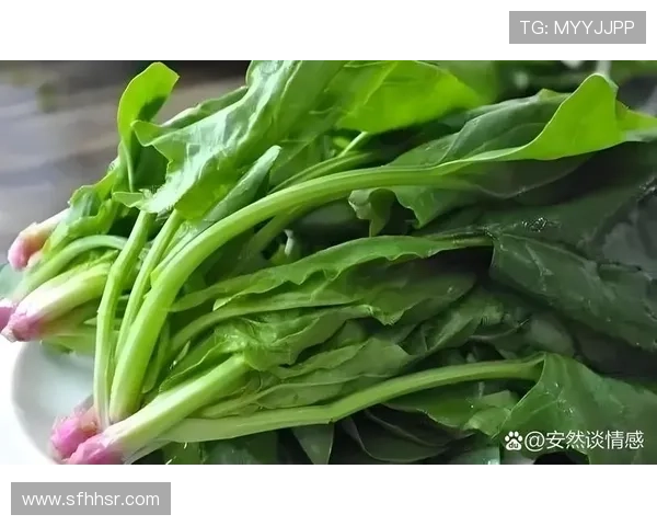 劲力无穷，菠菜相伴——重拾“大力水手”的力量密码！